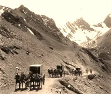 EH02C - Caravane de caléches attellées avec 4 mulets de front