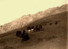 EH02D - Les mulets chargés de bagages montent seuls