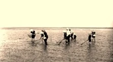 V0395 - la pêche aux crevettes grises, 9 septembre 1915