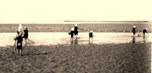 V0396 - pêche aux crevettes grises, 9/9/15