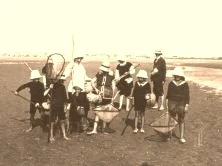 V0397