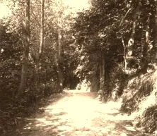V0417 - Veules-les-Roses, un chemin