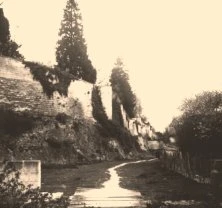 V0517