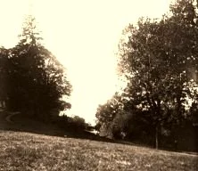 V0533 - Parc de Chaumont