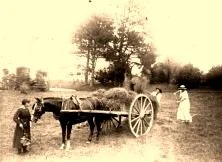 V0566