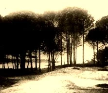 V0600 - La plage de Porquerolles