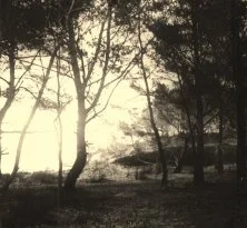 V0601