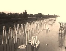 V0665 - Les pieux