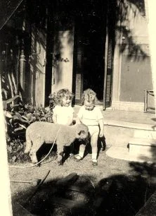 2 cousins et un petit mouton bêlant