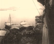 V0730 - Santos, chargement de bananes