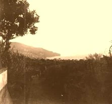 V0816 - Funchal
