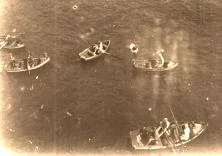 V0823 - Funchal, plongeurs