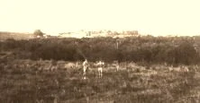 V0909