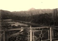 V0971 - Sierras