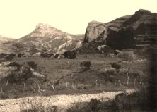 V0974