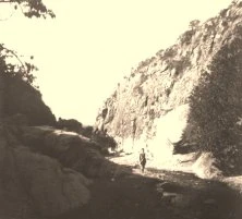 V0979 - François