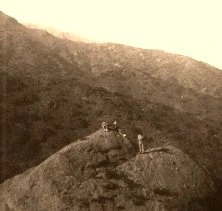 V0986