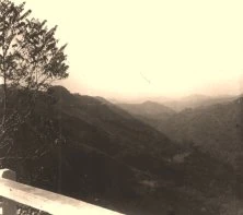 V0994