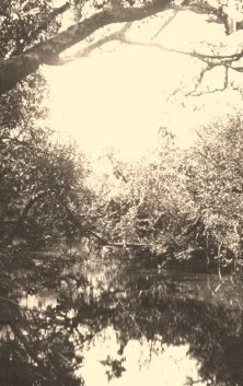 V1063 - Riachuelo, Simone sur un pont de branches, 3/1937