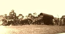 V1095