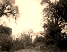 V1114 - Tucumàn, la plaine