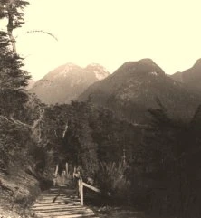 V1145 - Lago Hahuel Huapi, sentier Los Contaros