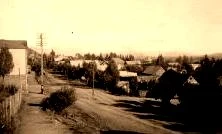 V1158 - San Carlos de Bariloche, la gare d'arrivée du train venant de Buenos-Aires ( 2 jours et 2 nuits à travers le désert de Patagonie, des pierres et quelques gazelles et nandous