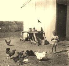 JH05B - Riachuelo, Jean-Paul et les poules de Vinay