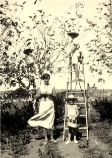 Cueillette des figues, Maman et ses 3 garçons
