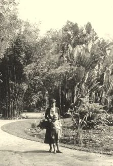 V1015 - Rio de Janeiro, jardin botanique