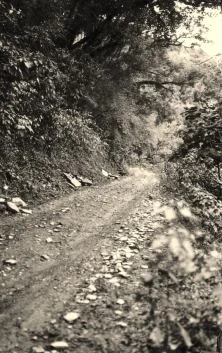 Route de villa Nouguès