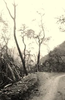 Marapa, sept. 38