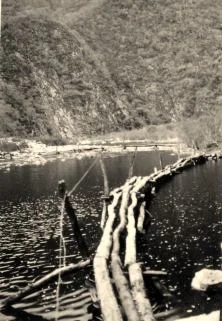 Pont en rondins dur le rio Marapa