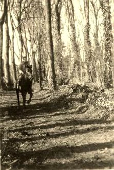 Dans l'allée du bois, Michel.