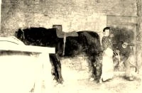 (détails)