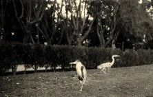 (détails)