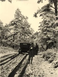 Correntoso, 8 avril 39, la forêt sous la neige