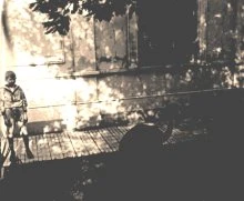 V0121 - Jean et le nandou dans le jardin