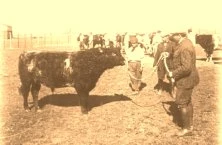 V0140
