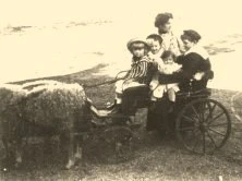 V0152 - La Celia, moutons et enfants
