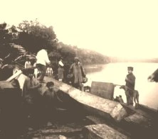 V0203 - 31 mai 1909, Yaguarazapa, Indiens Caïnguas