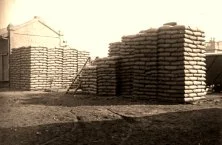 V0222 - 1/7/1909 - Céréales