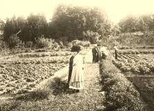 V0257 - 15/3/1910 - Propriété Molet