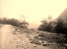 V0289 - Col de Vergio, coté Evisa