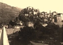 V0296