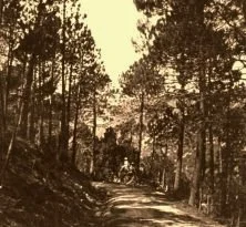 V0312 - 20 août 1910, Esterel, Route de la Duchesse