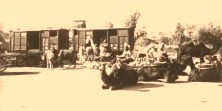 V0331 - 28 avril 1911, Convoi de chameaux à la gare