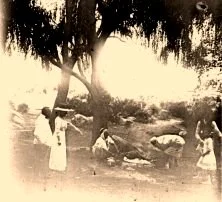 V0346 - Le méchoui sous les saules