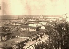 V0366