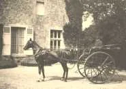 1912, le premier cheval acheté